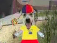 Propeller Hat Dog meme.